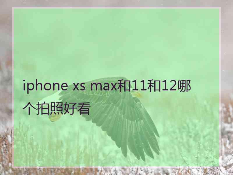 iphone xs max和11和12哪个拍照好看