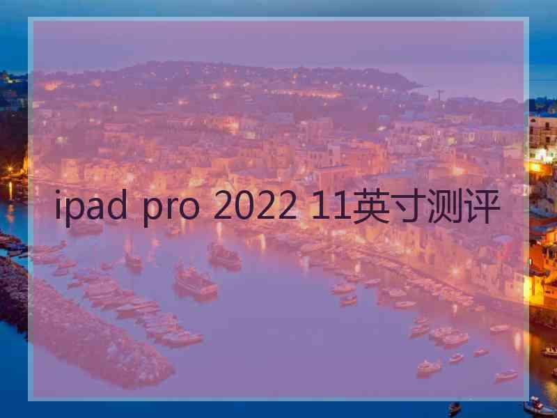 ipad pro 2022 11英寸测评