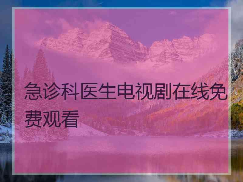 急诊科医生电视剧在线免费观看