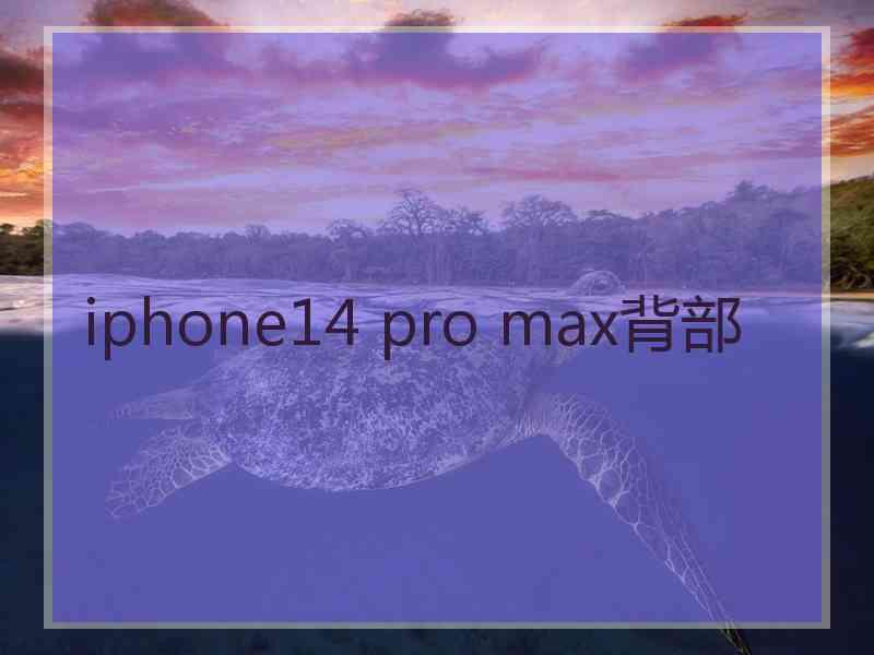 iphone14 pro max背部