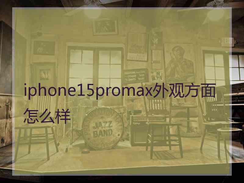 iphone15promax外观方面怎么样