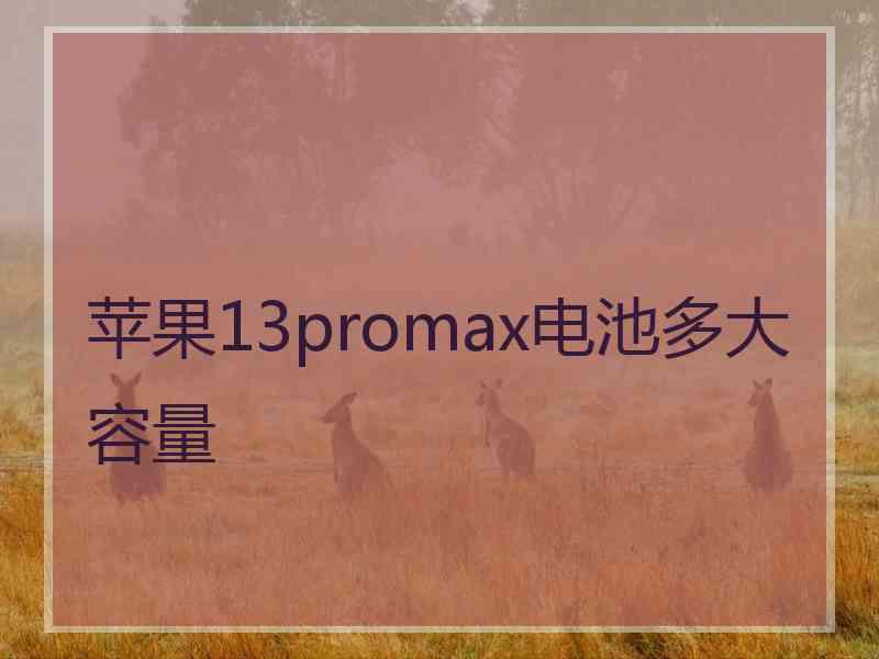 苹果13promax电池多大容量