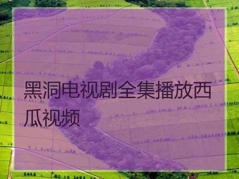 黑洞电视剧全集播放西瓜视频