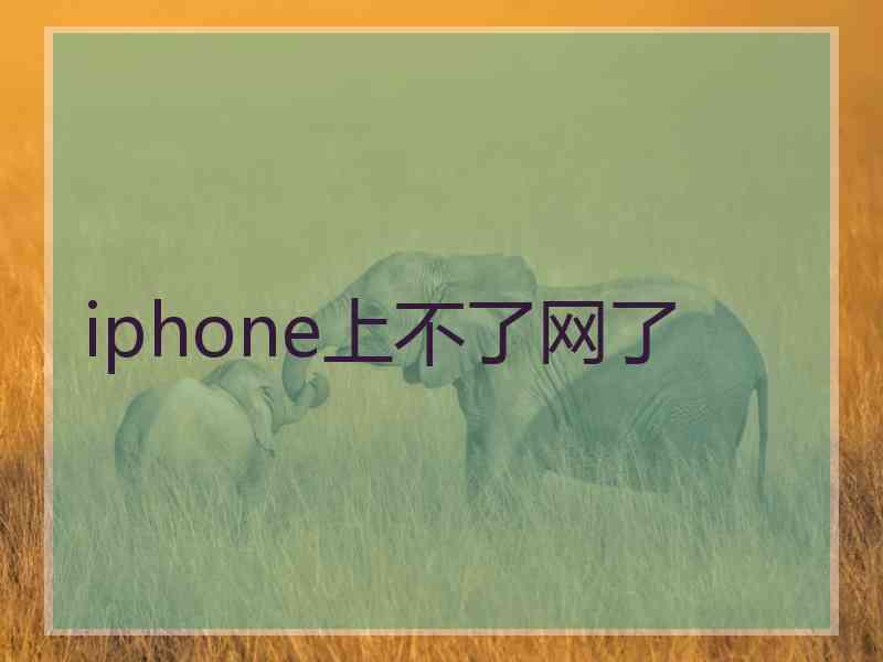 iphone上不了网了