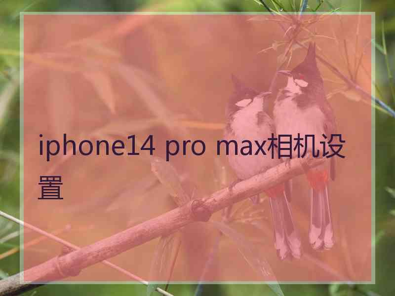 iphone14 pro max相机设置