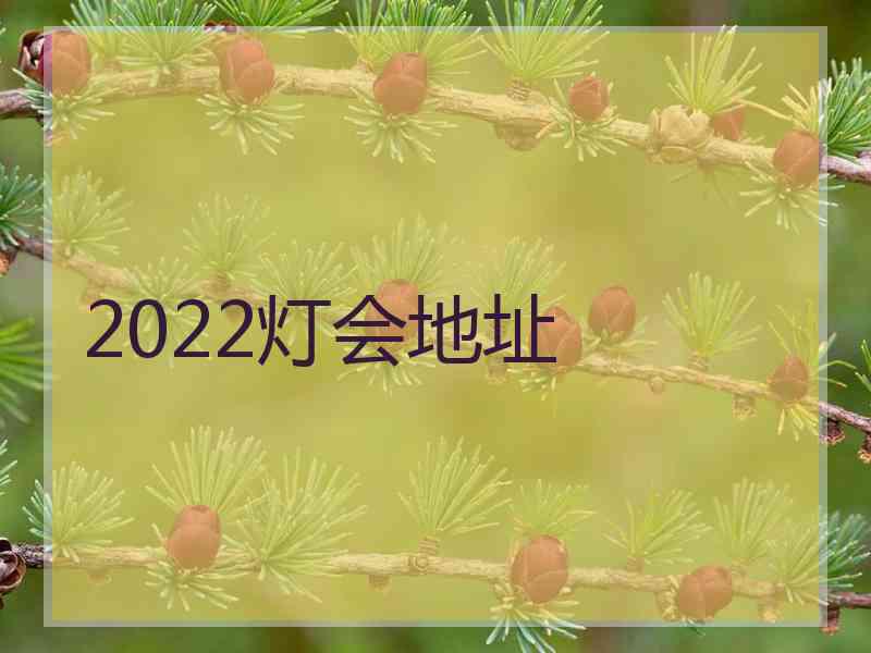 2022灯会地址