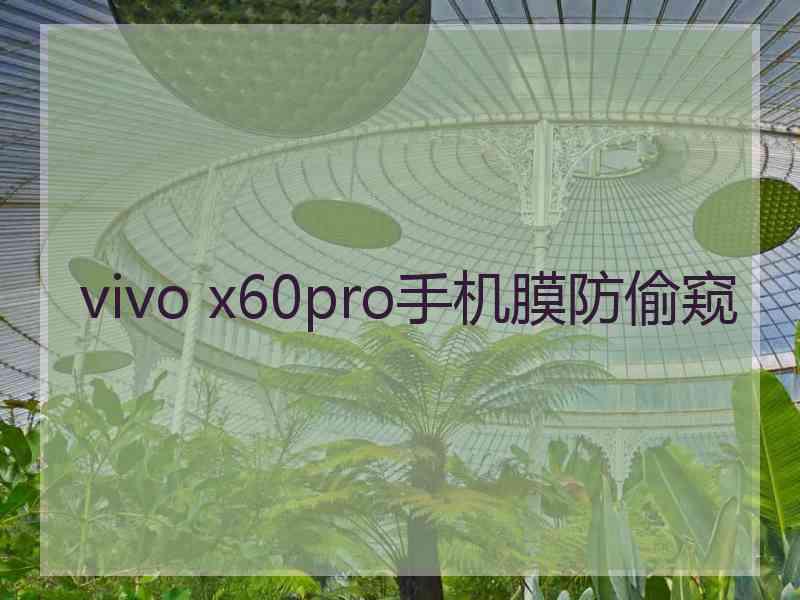 vivo x60pro手机膜防偷窥