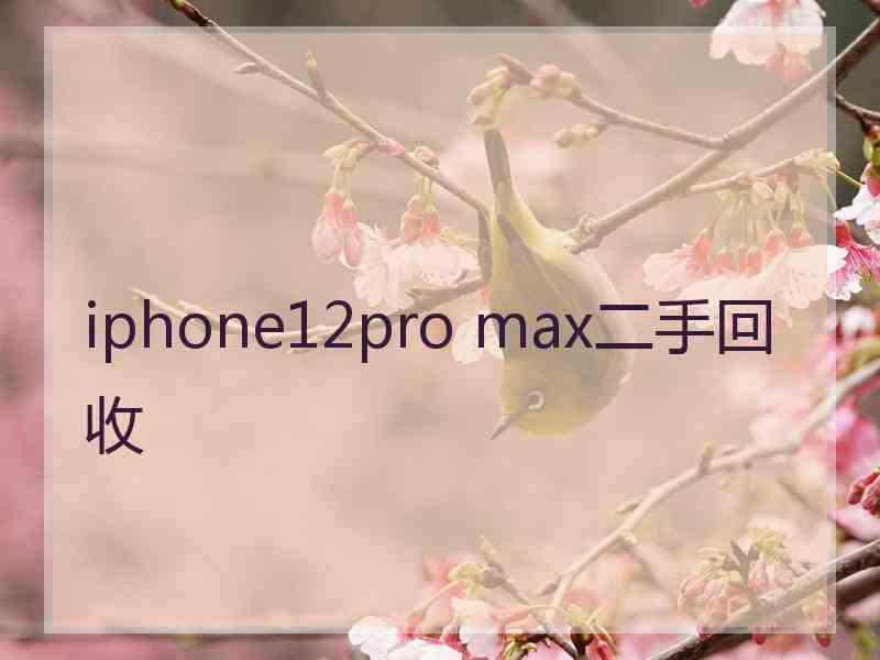 iphone12pro max二手回收