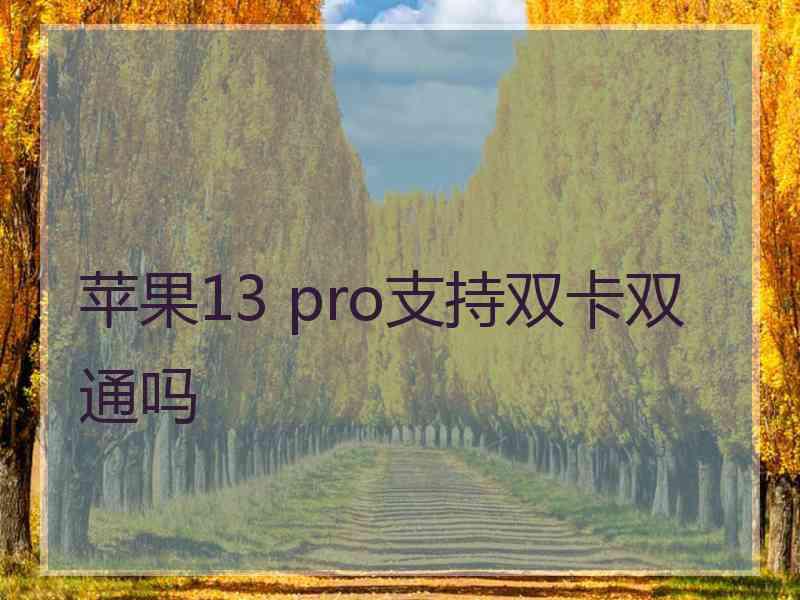 苹果13 pro支持双卡双通吗