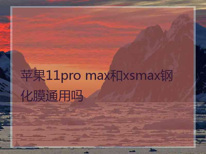 苹果11pro max和xsmax钢化膜通用吗