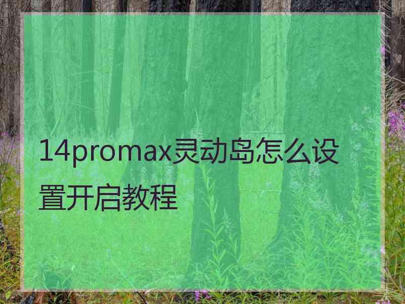 14promax灵动岛怎么设置开启教程