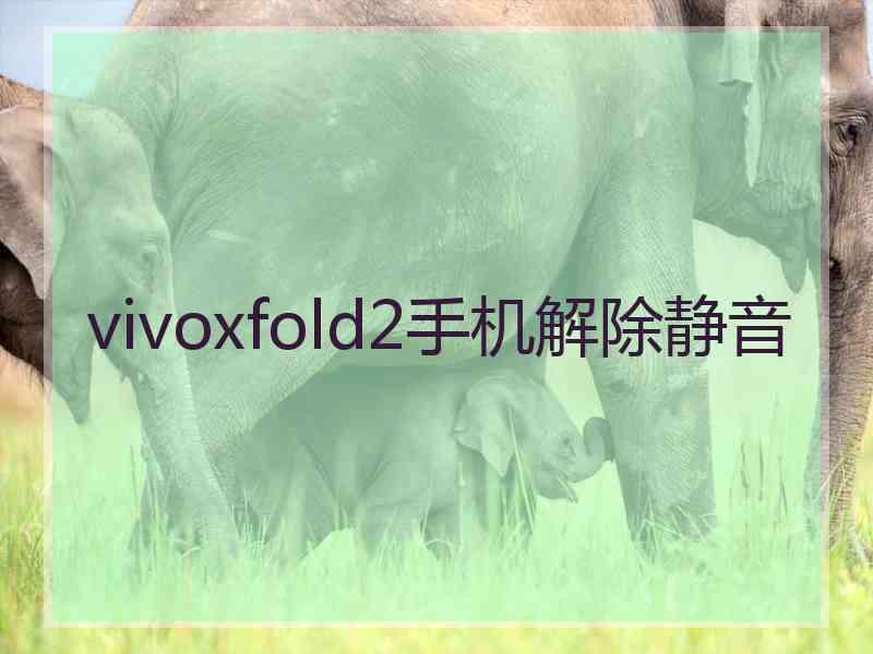 vivoxfold2手机解除静音