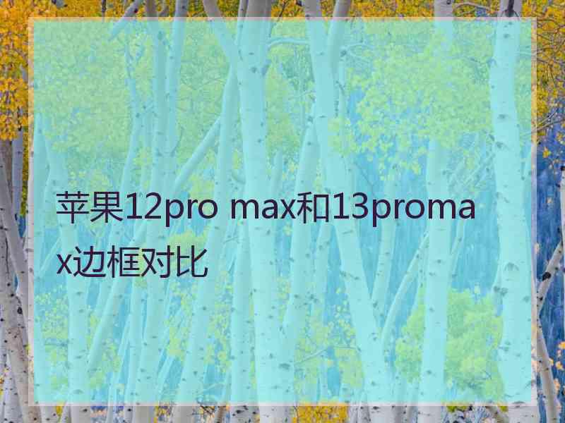 苹果12pro max和13promax边框对比