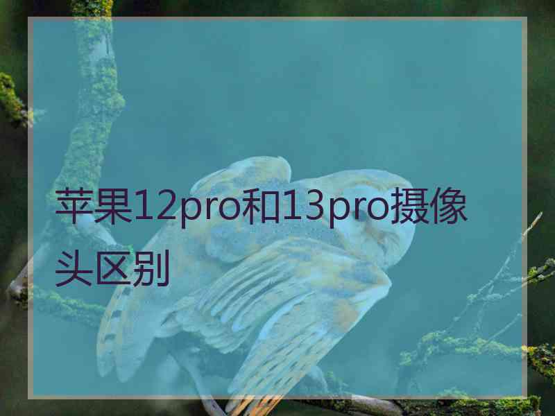 苹果12pro和13pro摄像头区别