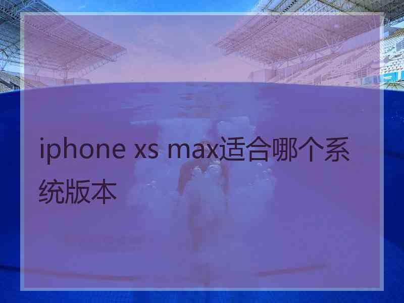 iphone xs max适合哪个系统版本