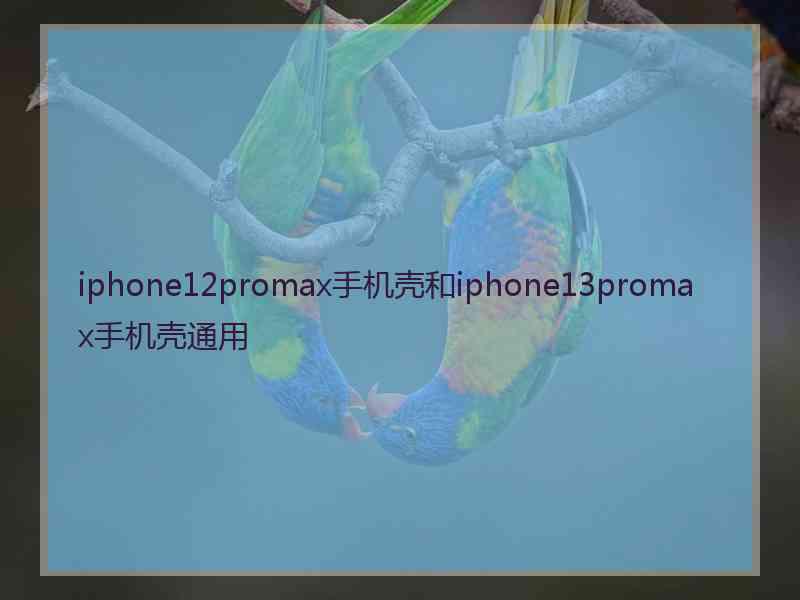 iphone12promax手机壳和iphone13promax手机壳通用