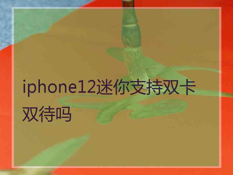 iphone12迷你支持双卡双待吗