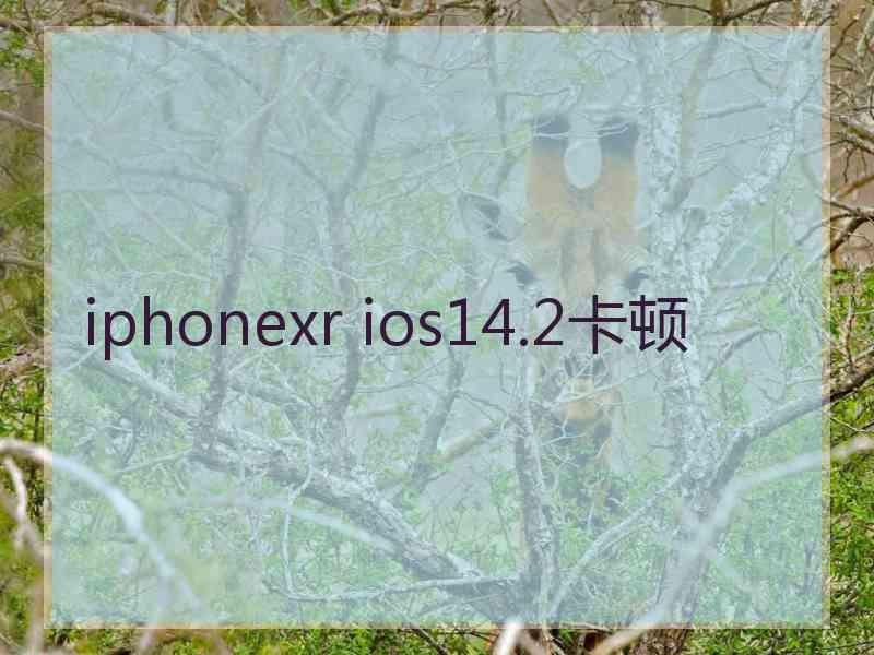 iphonexr ios14.2卡顿