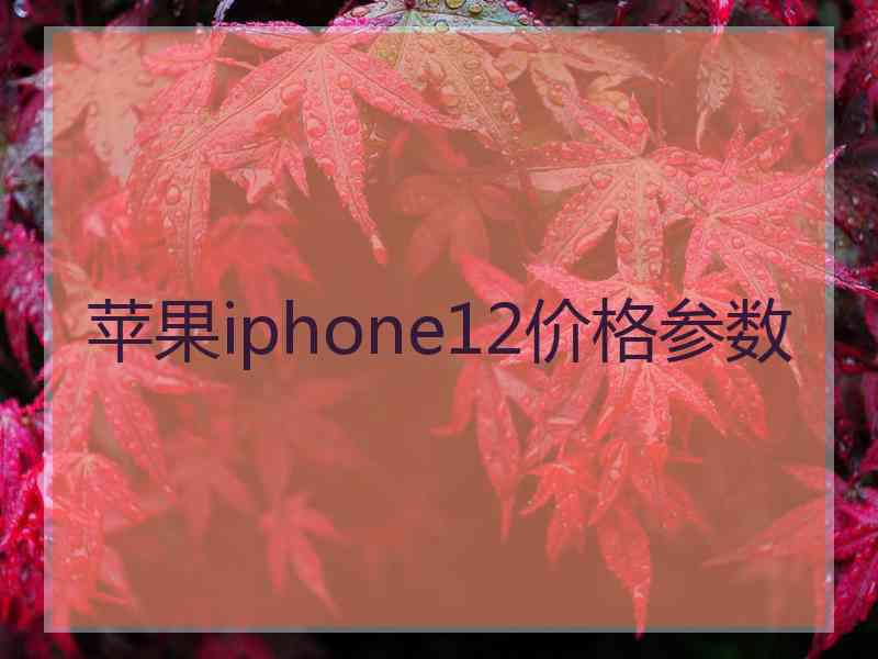 苹果iphone12价格参数