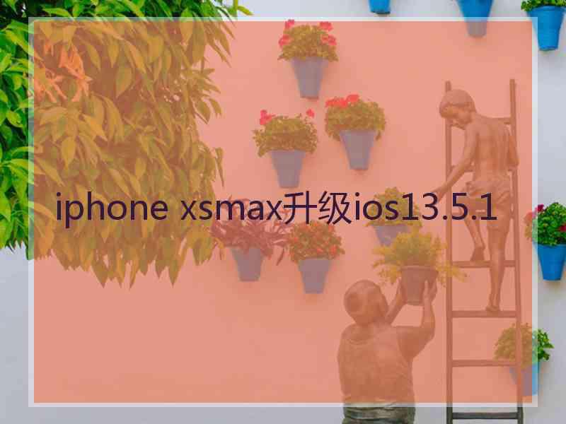 iphone xsmax升级ios13.5.1