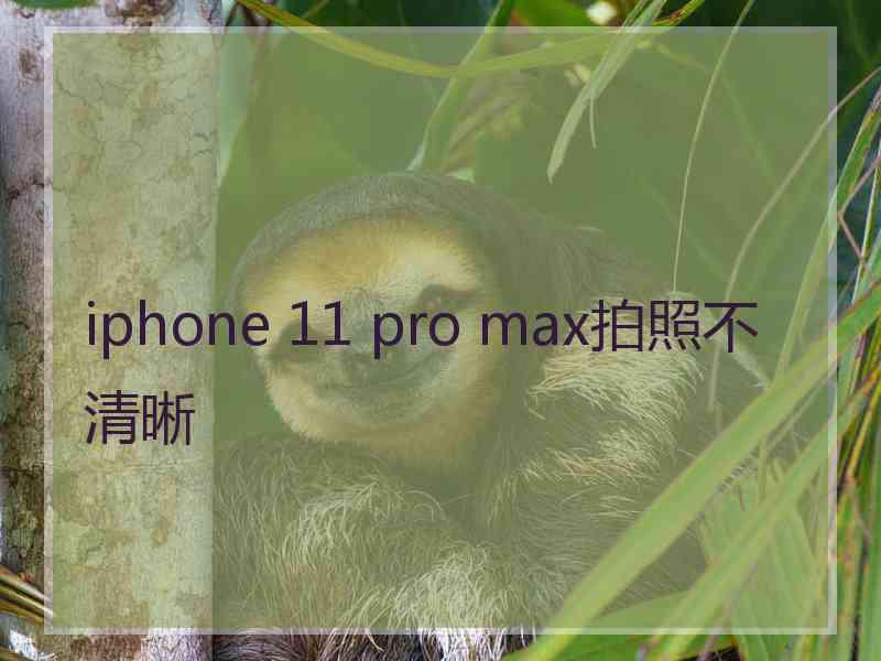 iphone 11 pro max拍照不清晰