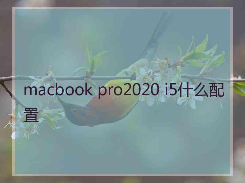 macbook pro2020 i5什么配置