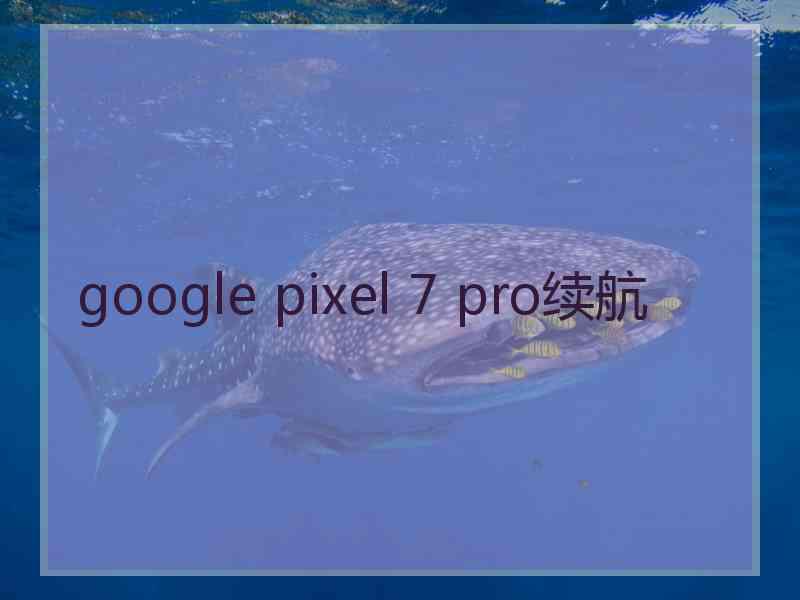 google pixel 7 pro续航