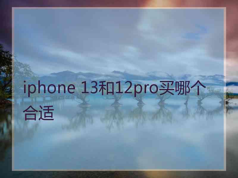 iphone 13和12pro买哪个合适