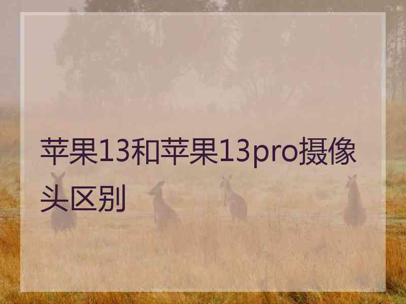 苹果13和苹果13pro摄像头区别