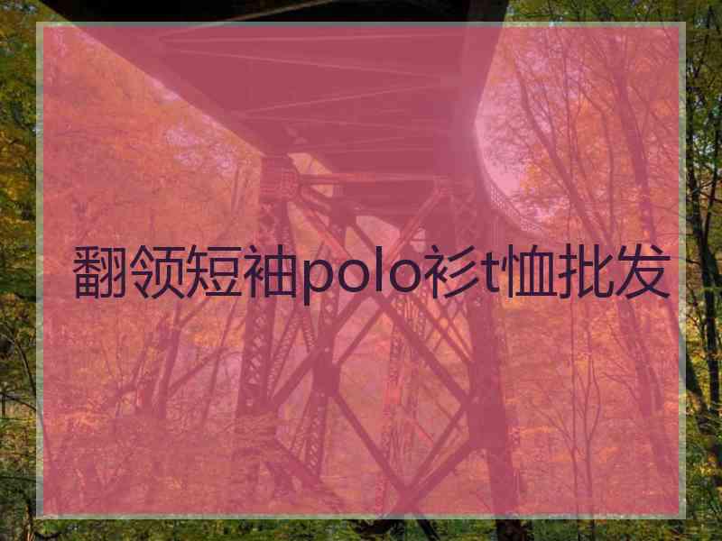 翻领短袖polo衫t恤批发