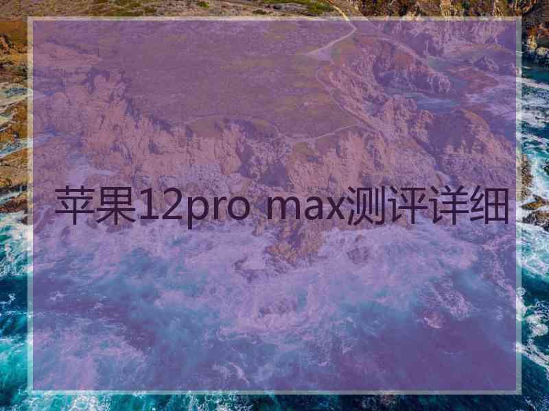 苹果12pro max测评详细