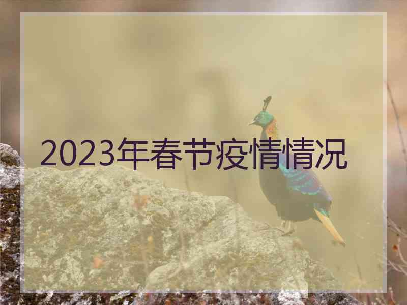 2023年春节疫情情况