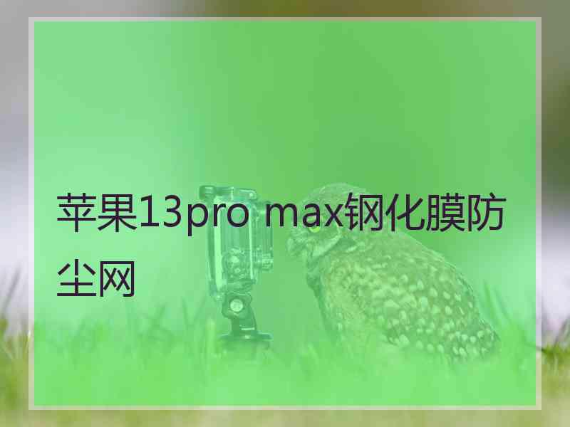 苹果13pro max钢化膜防尘网