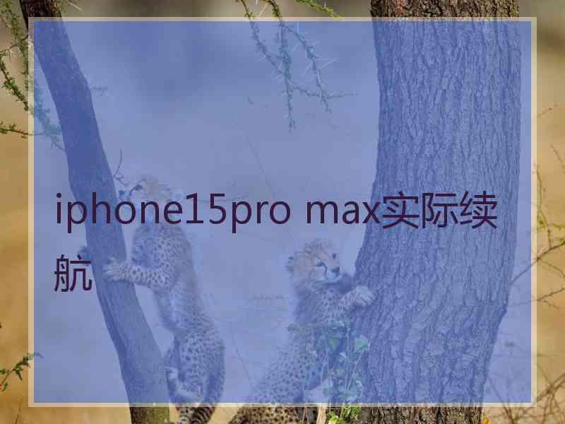 iphone15pro max实际续航