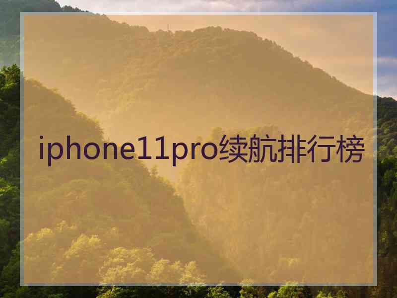 iphone11pro续航排行榜