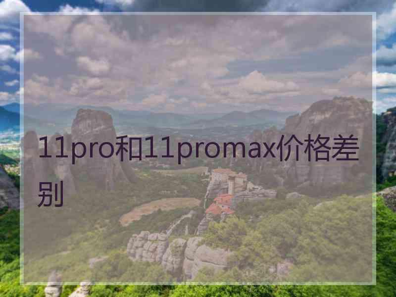 11pro和11promax价格差别