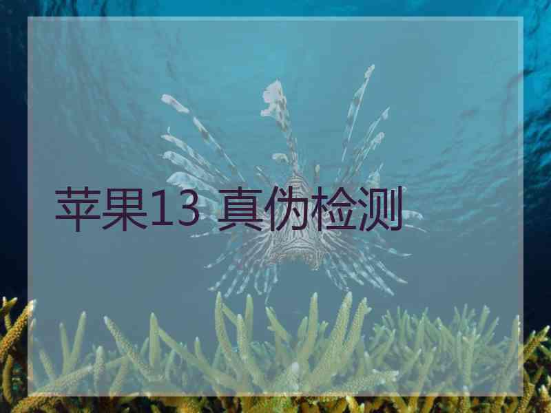 苹果13 真伪检测