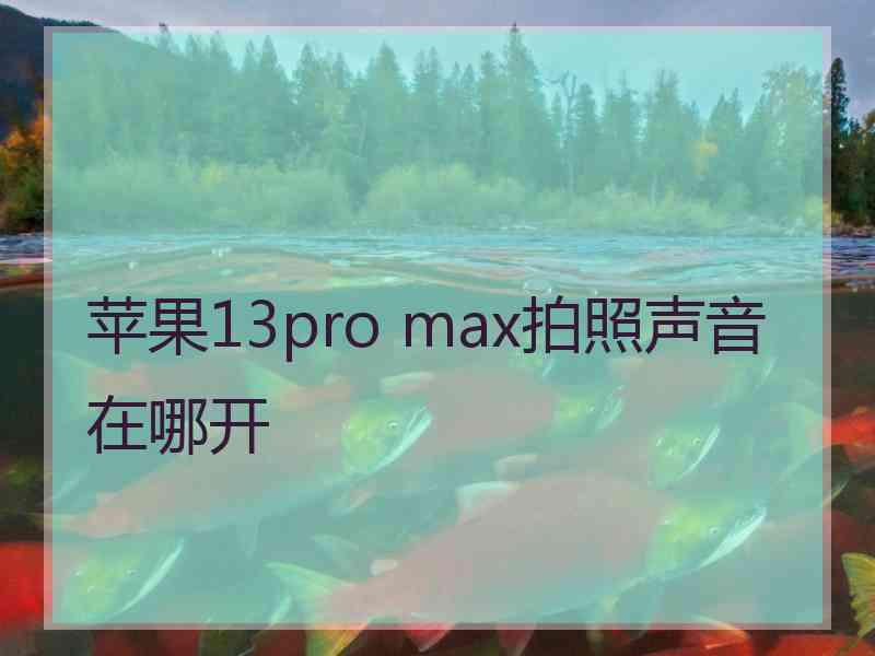 苹果13pro max拍照声音在哪开