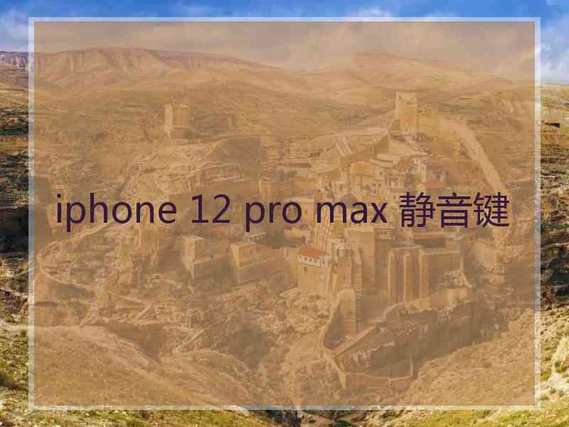 iphone 12 pro max 静音键