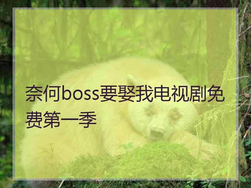 奈何boss要娶我电视剧免费第一季