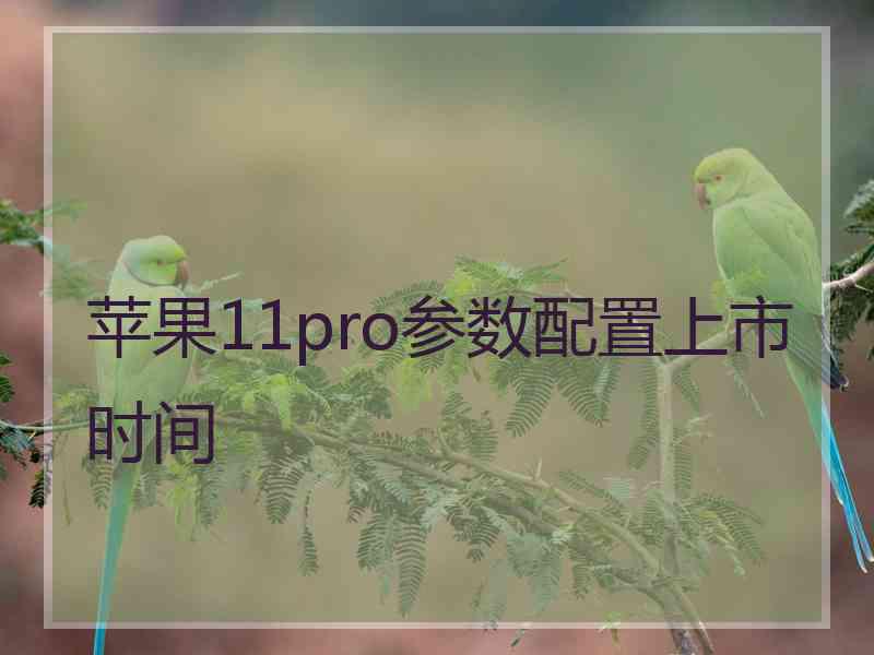 苹果11pro参数配置上市时间