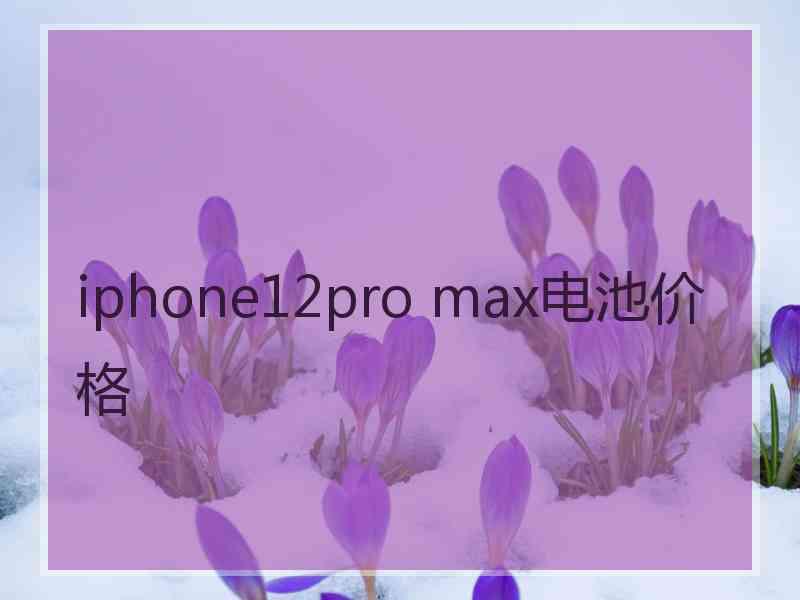 iphone12pro max电池价格