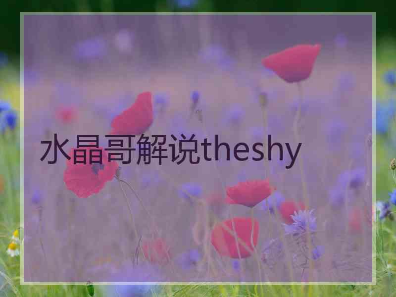 水晶哥解说theshy