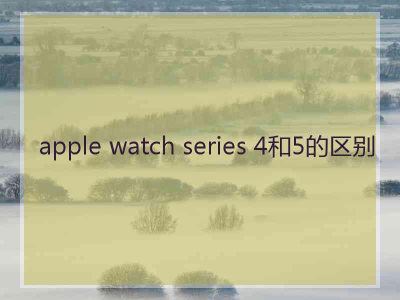 apple watch series 4和5的区别