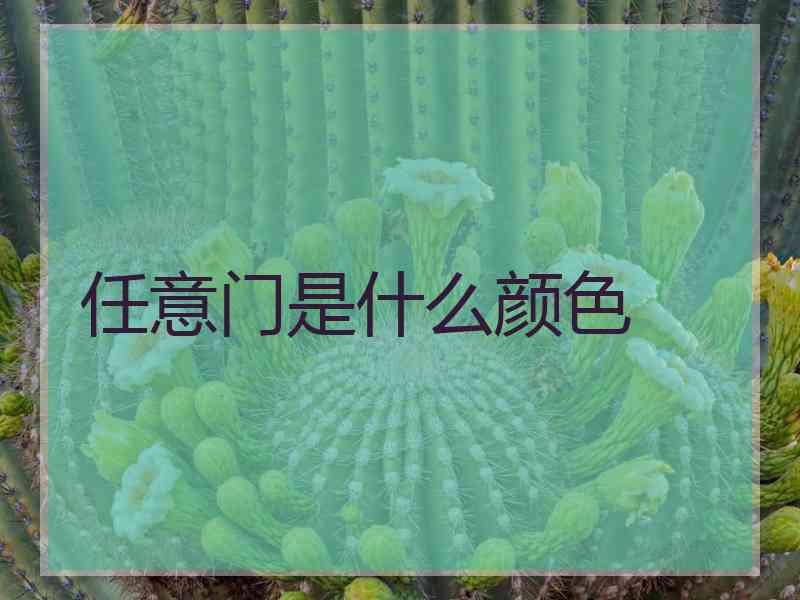 任意门是什么颜色