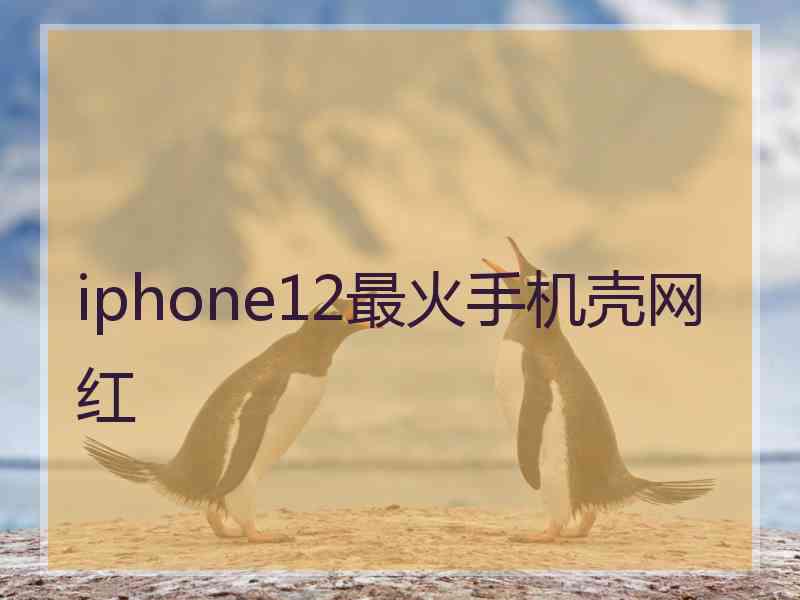 iphone12最火手机壳网红