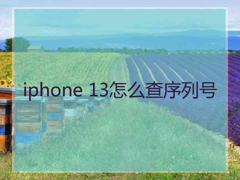 iphone 13怎么查序列号