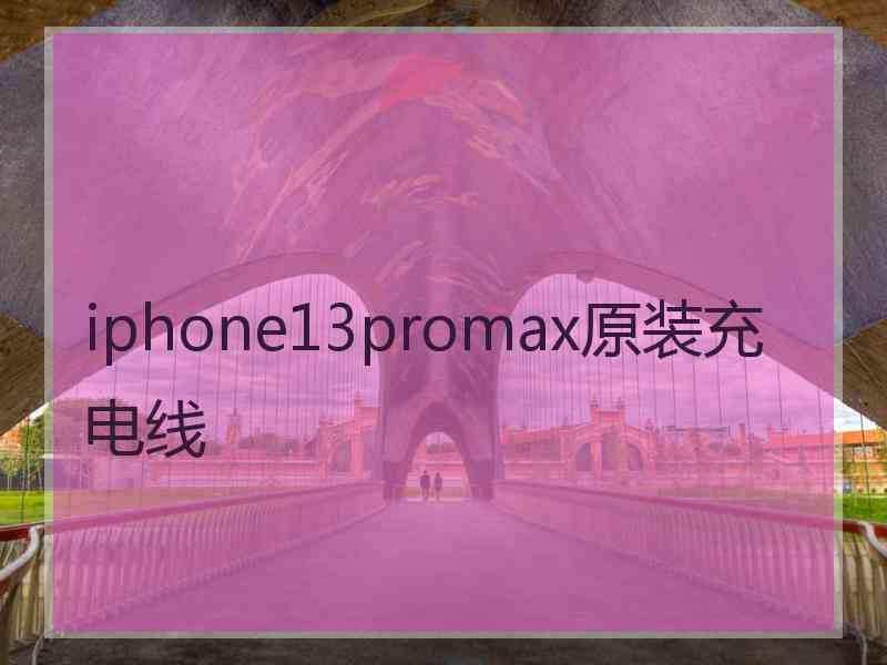 iphone13promax原装充电线