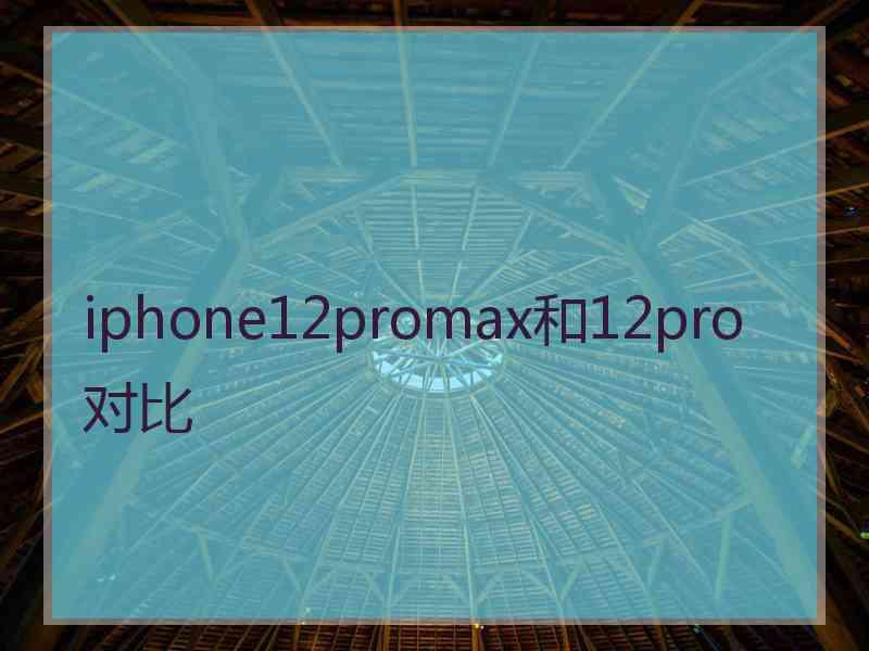 iphone12promax和12pro对比