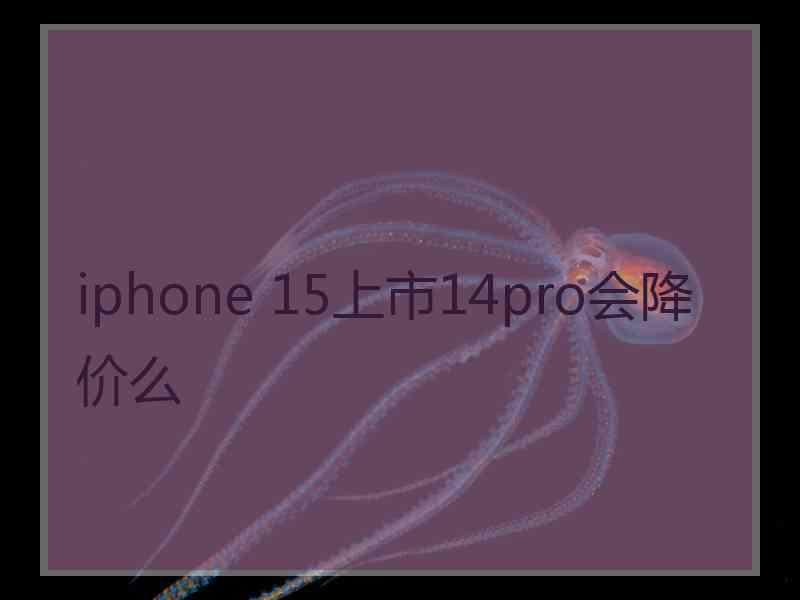 iphone 15上市14pro会降价么